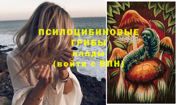 бошки Абинск