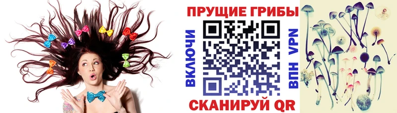 Псилоцибиновые грибы MAGIC MUSHROOMS  дарнет шоп  Темников 